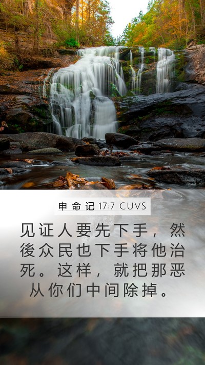 申 命 记 17:7 CUVS Bible Verse Image