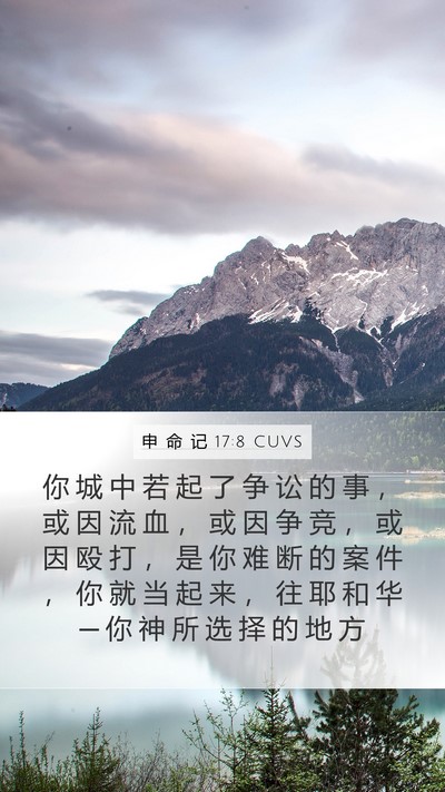 申 命 记 17:8 CUVS Bible Verse Image