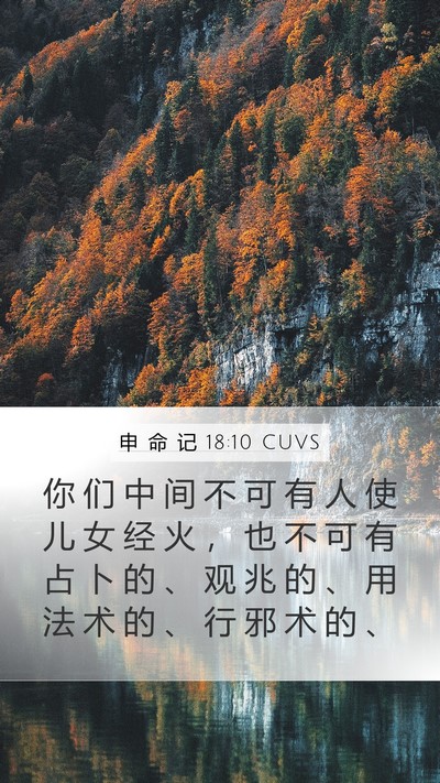 申 命 记 18:10 CUVS Bible Verse Image