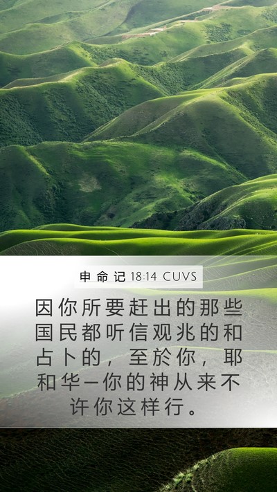 申 命 记 18:14 CUVS Bible Verse Image