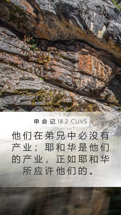 申 命 记 18:2 CUVS Mobile Phone Wallpaper - 他 们 在 弟 兄 中 必 没 有 产 业 ； - Mobile Bible Verse Wallpaper