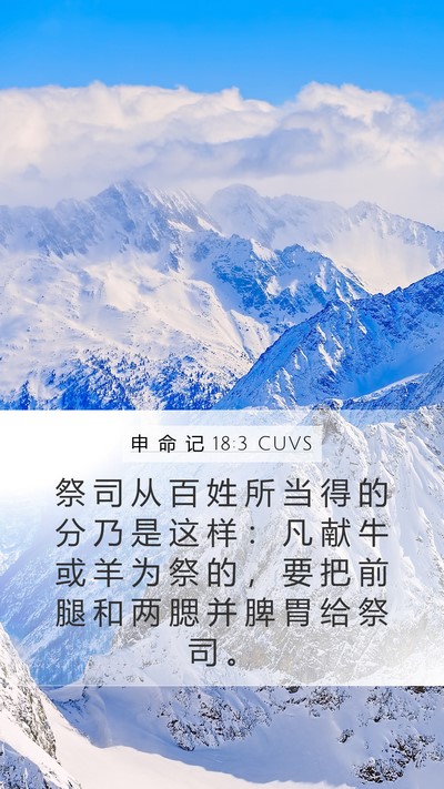 申 命 记 18:3 CUVS Bible Verse Image