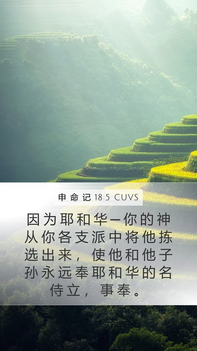 申 命 记 18:5 CUVS Bible Verse Image