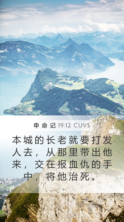 申 命 记 19:12 CUVS Bible Verse Image