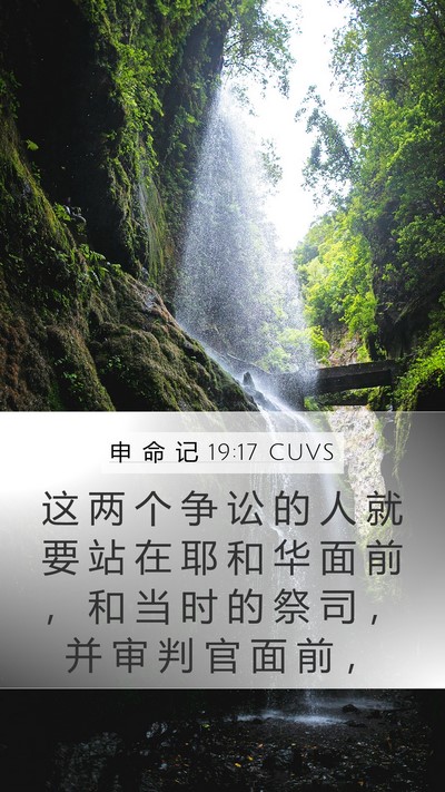 申 命 记 19:17 CUVS Bible Verse Image