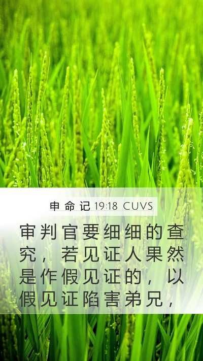 申 命 记 19:18 CUVS Bible Verse Image