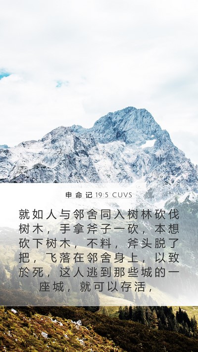 申 命 记 19:5 CUVS Bible Verse Image