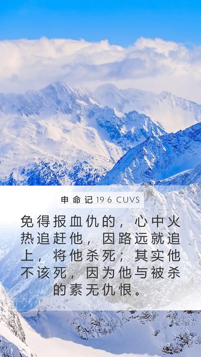 申 命 记 19:6 CUVS Bible Verse Image