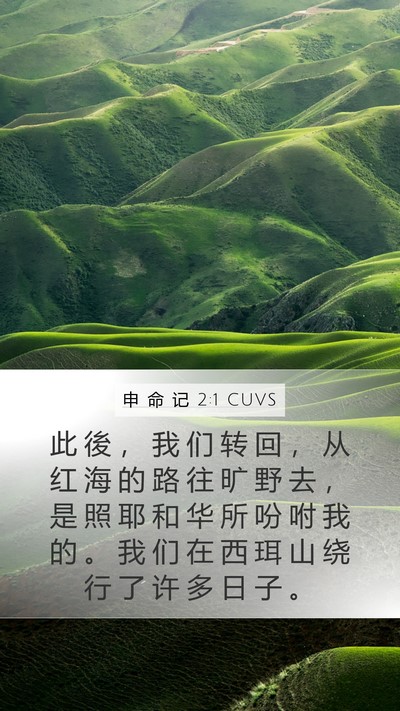 申 命 记 2:1 CUVS Bible Verse Image