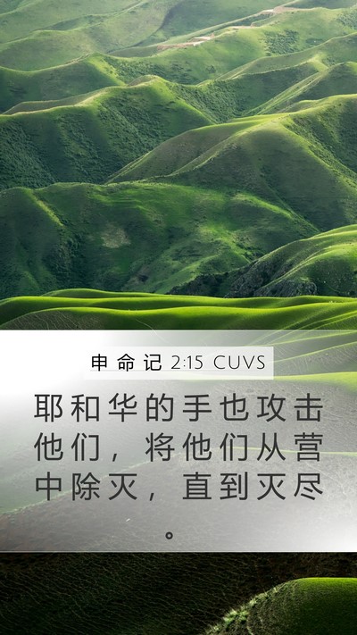 申 命 记 2:15 CUVS Bible Verse Image
