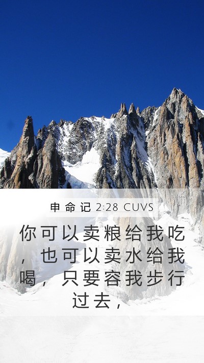 申 命 记 2:28 CUVS Bible Verse Image