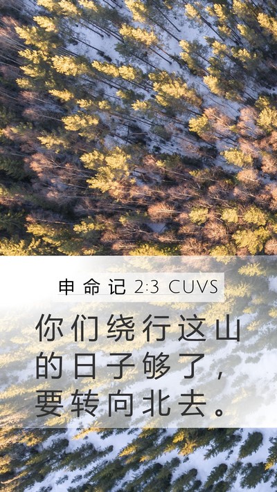 申 命 记 2:3 CUVS Bible Verse Image