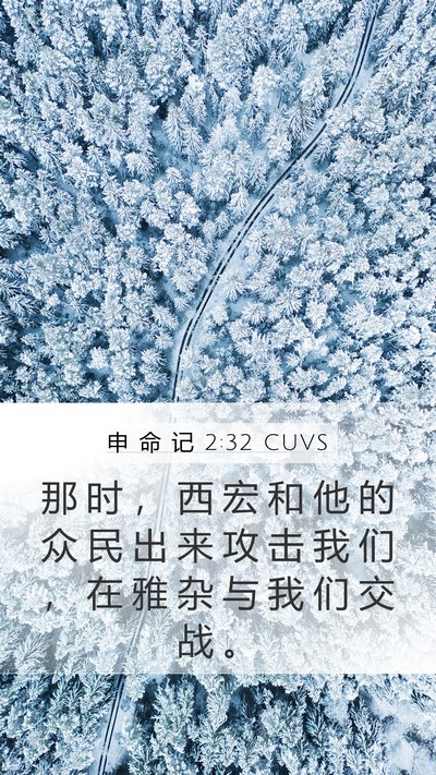 申 命 记 2:32 CUVS Bible Verse Image