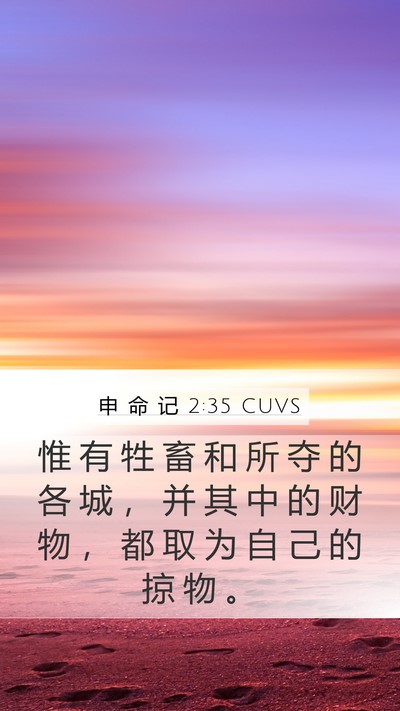 申 命 记 2:35 CUVS Bible Verse Image
