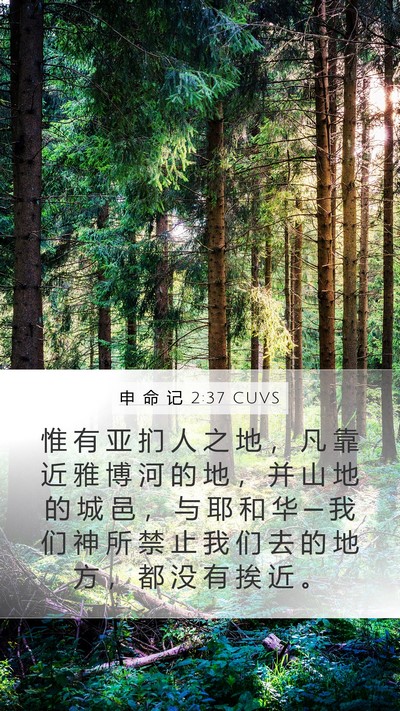 申 命 记 2:37 CUVS Bible Verse Image