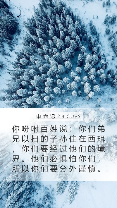 申 命 记 2:4 CUVS Bible Verse Image
