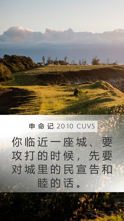 申 命 记 20:10 CUVS Bible Verse Image