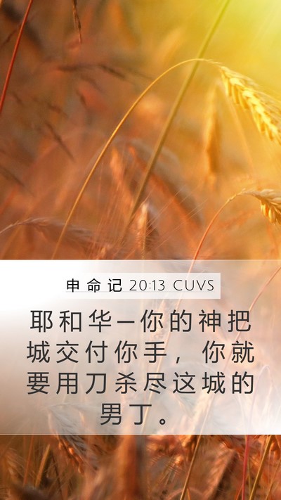 申 命 记 20:13 CUVS Bible Verse Image