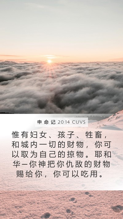 申 命 记 20:14 CUVS Bible Verse Image