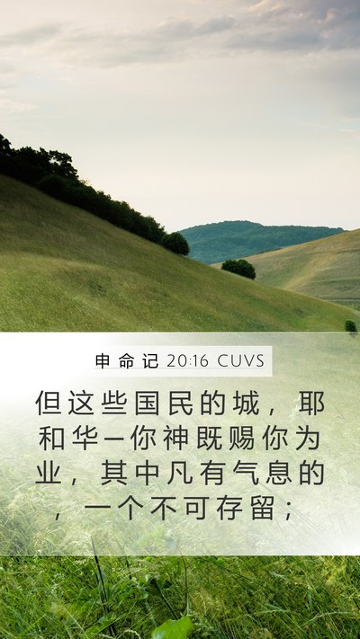 申 命 记 20:16 CUVS Bible Verse Image