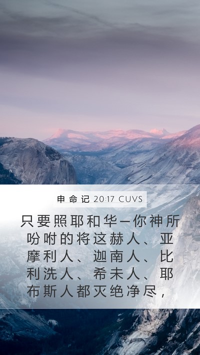 申 命 记 20:17 CUVS Bible Verse Image