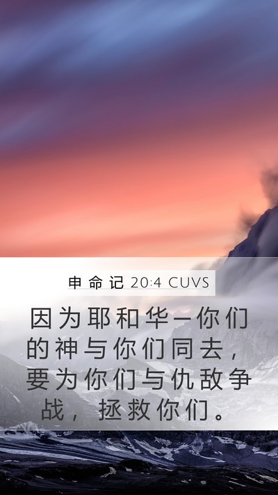 申 命 记 20:4 CUVS Bible Verse Image