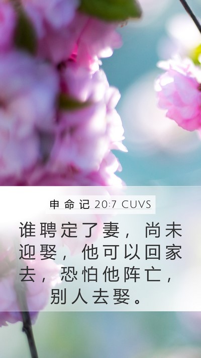 申 命 记 20:7 CUVS Mobile Phone Wallpaper - 谁 聘 定 了 妻 ， 尚 未 迎 娶 ， 他 - Mobile Bible Verse Wallpaper