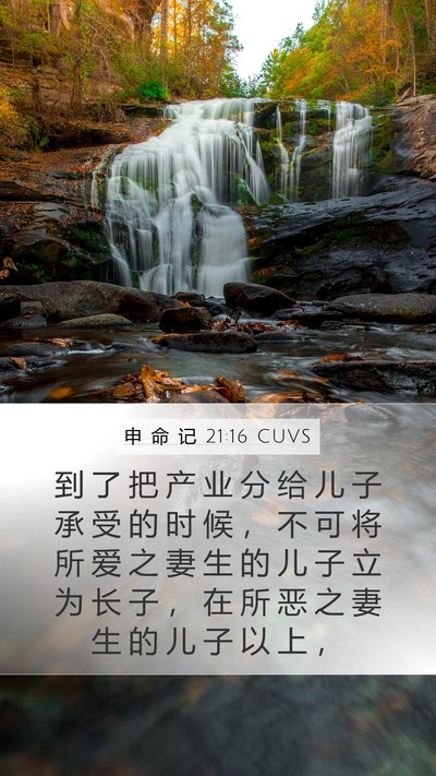 申 命 记 21:16 CUVS Mobile Phone Wallpaper - 到 了 把 产 业 分 给 儿 子 承 受 的 - Mobile Bible Verse Wallpaper