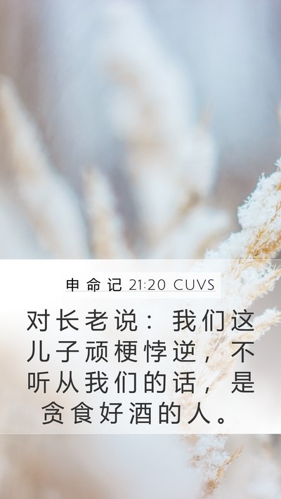 申 命 记 21:20 CUVS Bible Verse Image