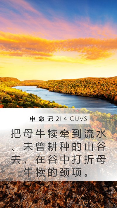 申 命 记 21:4 CUVS Mobile Phone Wallpaper - 把 母 牛 犊 牵 到 流 水 、 未 曾 耕 - Mobile Bible Verse Wallpaper