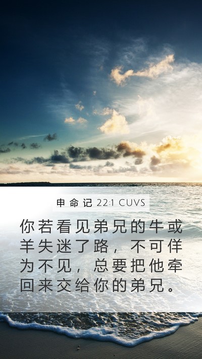 申 命 记 22:1 CUVS Bible Verse Image