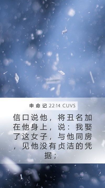 申 命 记 22:14 CUVS Bible Verse Image