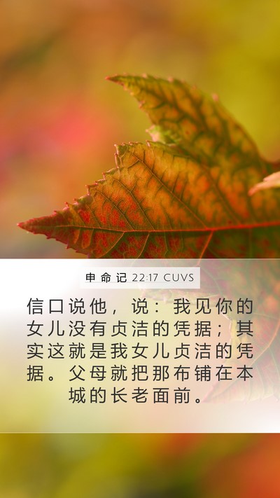申 命 记 22:17 CUVS Mobile Phone Wallpaper - 信 口 说 他 ， 说 ： 我 见 你 的 女 - Mobile Bible Verse Wallpaper