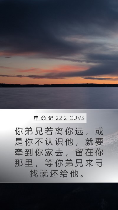 申 命 记 22:2 CUVS Mobile Phone Wallpaper - 你 弟 兄 若 离 你 远 ， 或 是 你 不 - Mobile Bible Verse Wallpaper