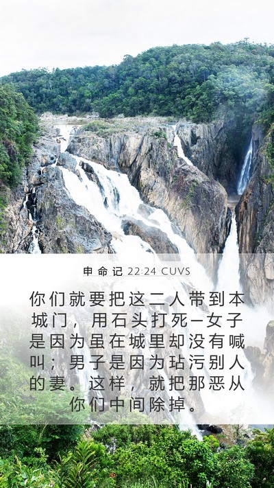 申 命 记 22:24 CUVS Bible Verse Image