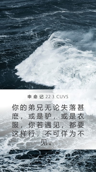 申 命 记 22:3 CUVS Bible Verse Image