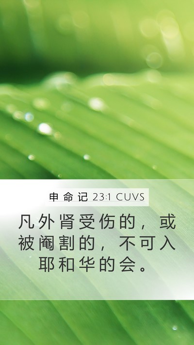 申 命 记 23:1 CUVS Mobile Phone Wallpaper - 凡 外 肾 受 伤 的 ， 或 被 阉 割 的 - Mobile Bible Verse Wallpaper