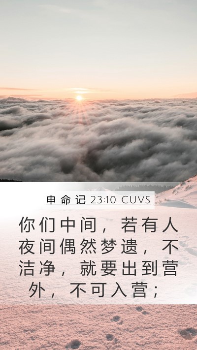 申 命 记 23:10 CUVS Mobile Phone Wallpaper - 你 们 中 间 ， 若 有 人 夜 间 偶 然 - Mobile Bible Verse Wallpaper