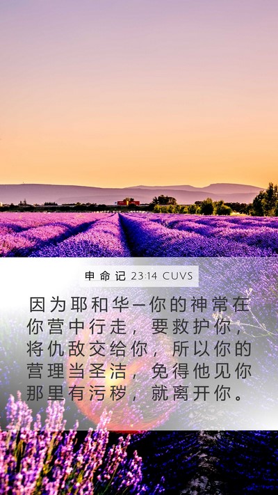 申 命 记 23:14 CUVS Bible Verse Image