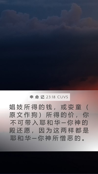 申 命 记 23:18 CUVS Bible Verse Image
