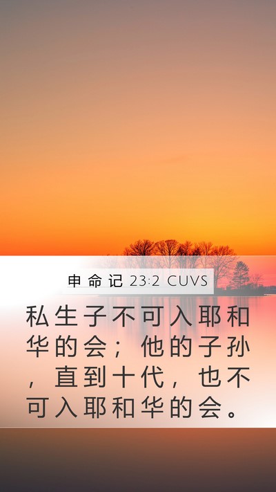 申 命 记 23:2 CUVS Bible Verse Image