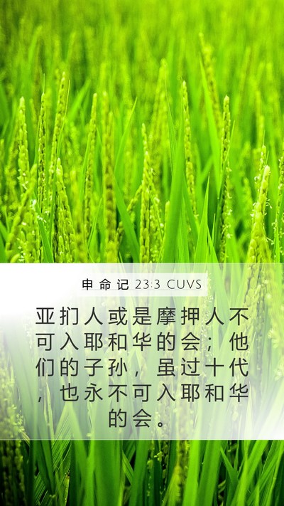 申 命 记 23:3 CUVS Bible Verse Image