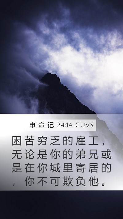 申 命 记 24:14 CUVS Bible Verse Image