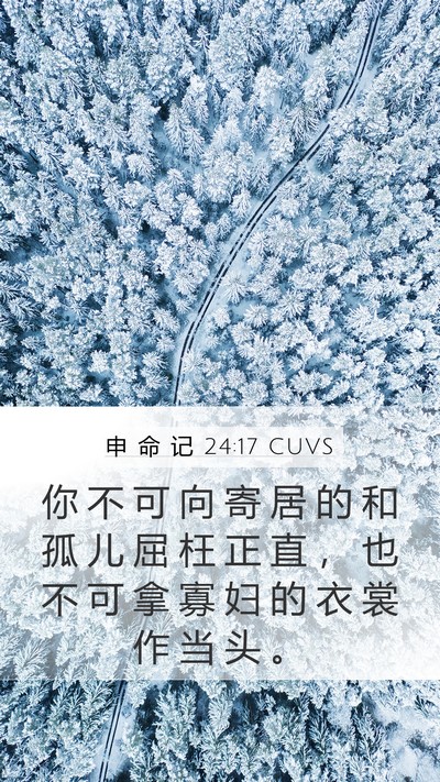申 命 记 24:17 CUVS Bible Verse Image