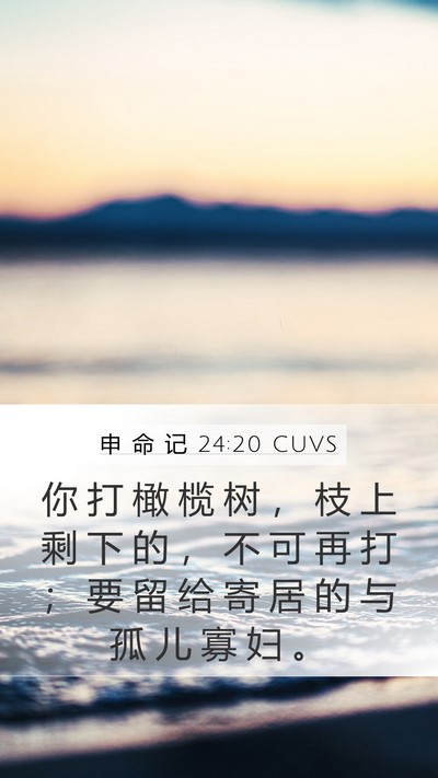 申 命 记 24:20 CUVS Mobile Phone Wallpaper - 你 打 橄 榄 树 ， 枝 上 剩 下 的 ， - Mobile Bible Verse Wallpaper