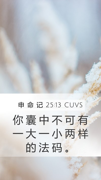 申 命 记 25:13 CUVS Bible Verse Image