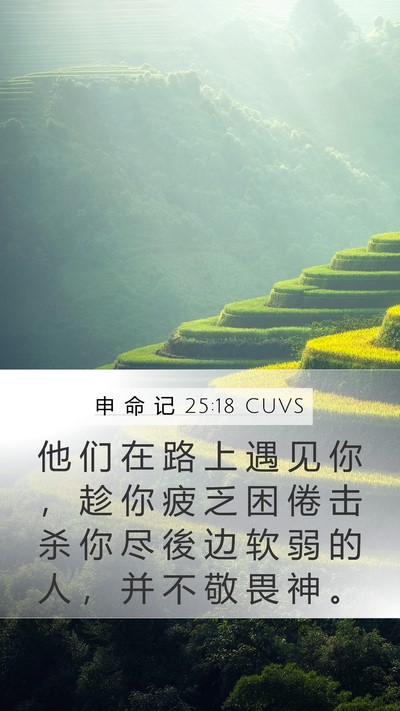 申 命 记 25:18 CUVS Bible Verse Image
