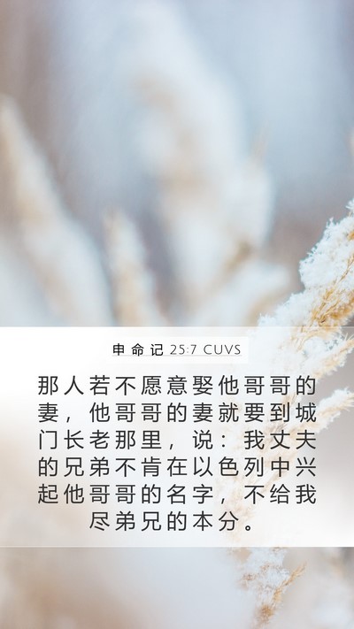 申 命 记 25:7 CUVS Bible Verse Image