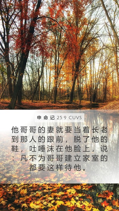 申 命 记 25:9 CUVS Bible Verse Image