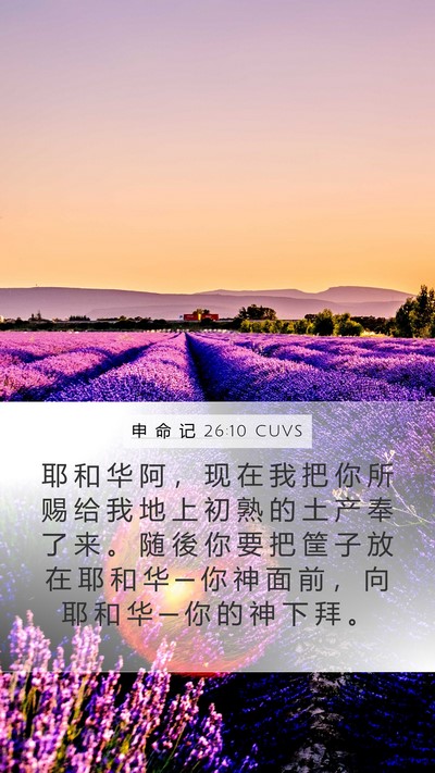 申 命 记 26:10 CUVS Bible Verse Image